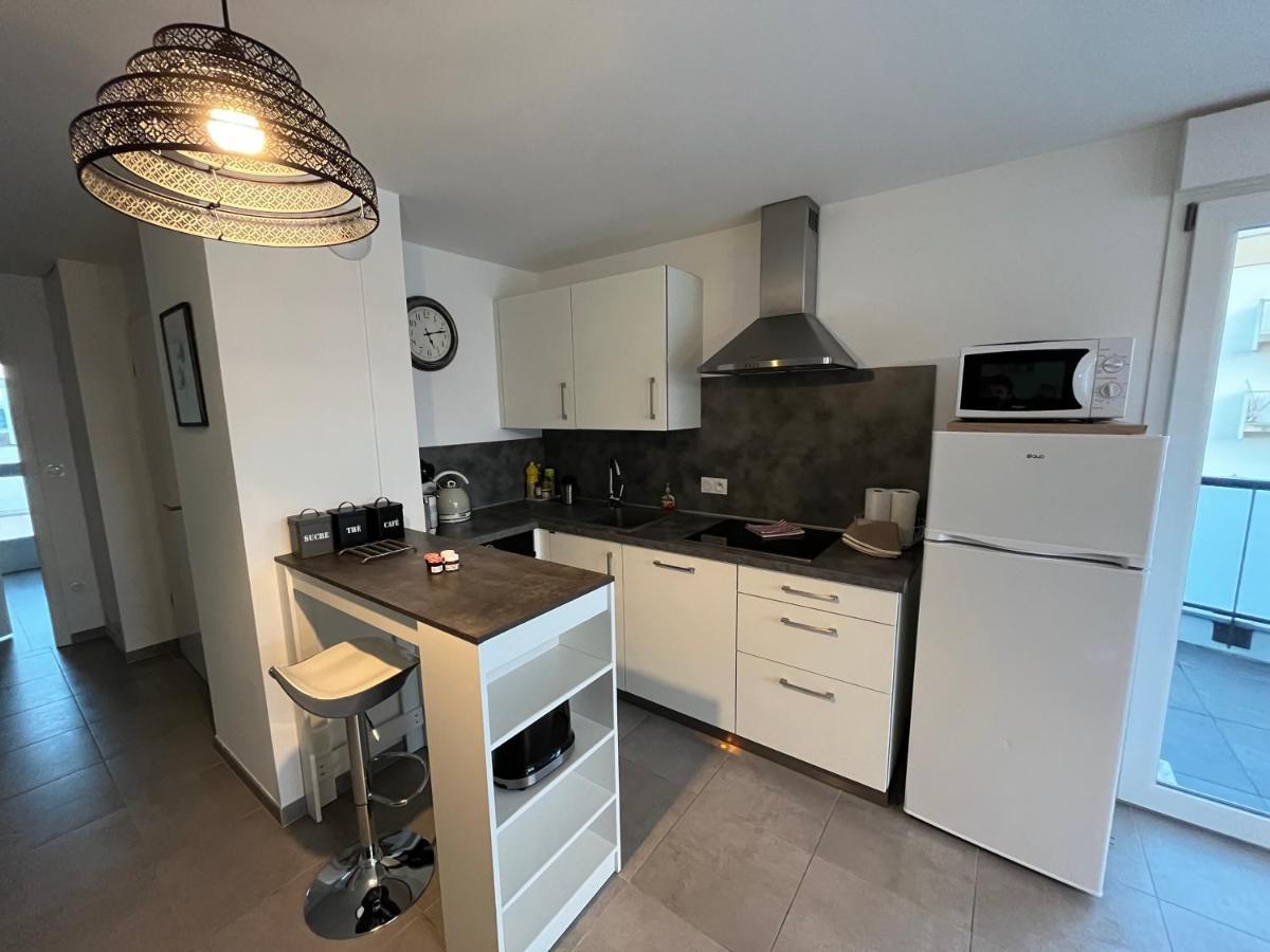 Appartement Magniolia Proche Centre Ville Colmar Eksteriør bilde